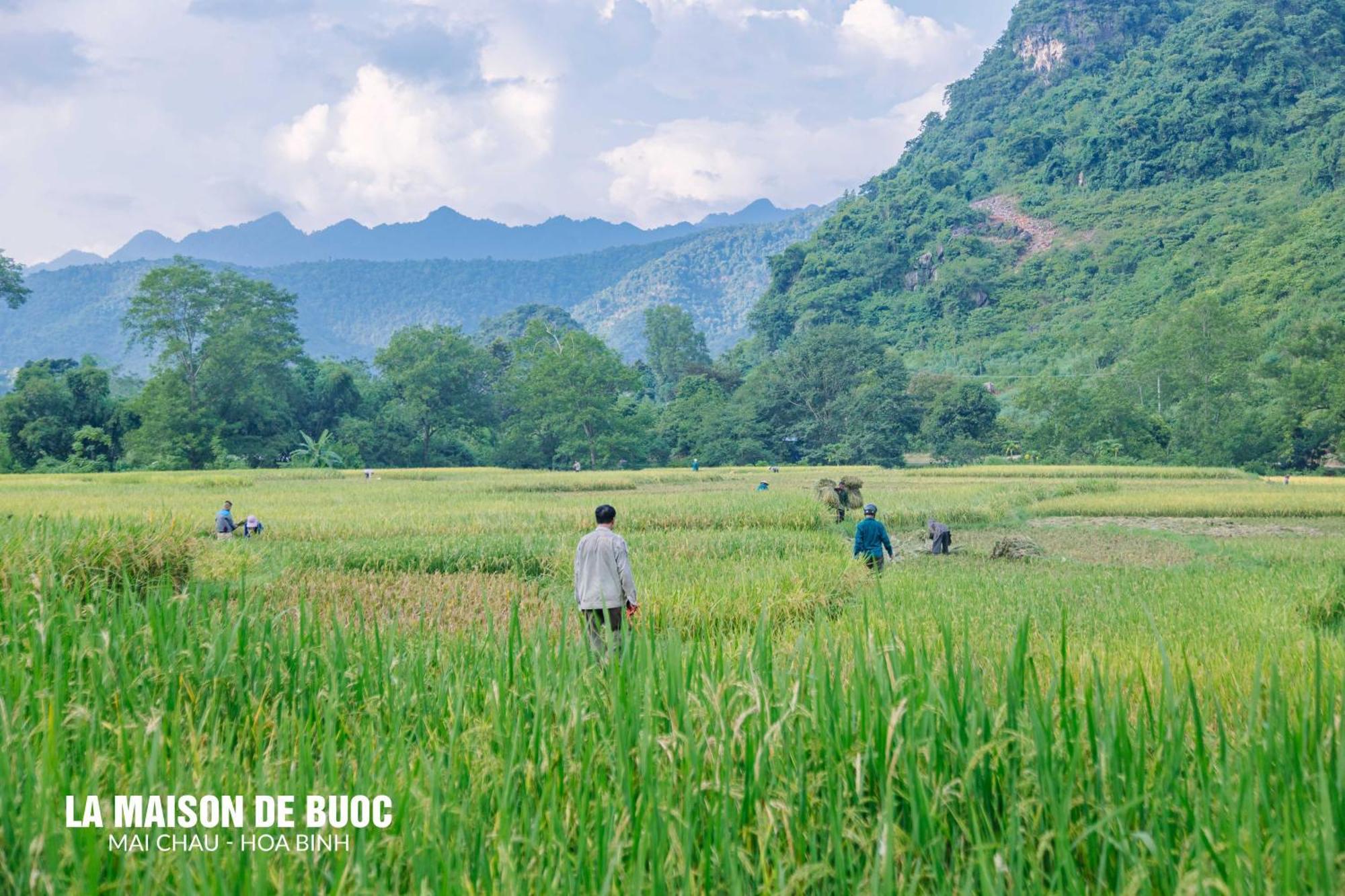 La Maison De Buoc Mai Chau Eksteriør billede