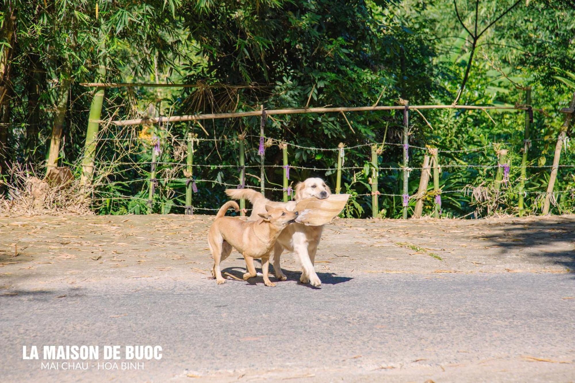 La Maison De Buoc Mai Chau Eksteriør billede